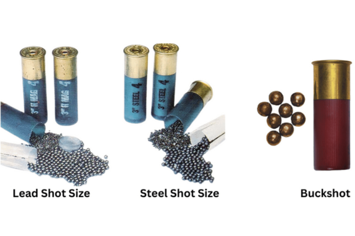 Comparing Steel And Lead Shot For Shotguns What You Need To Know