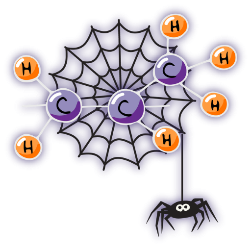 homopolymer vs copolymer