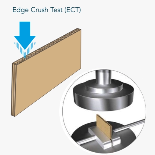 Edge Crush Test