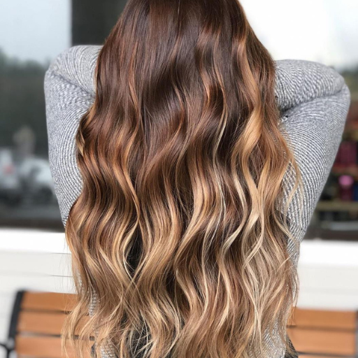 brown hair with blonde highlights