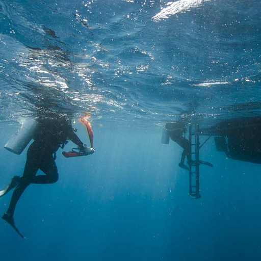 the best way to prevent striking a swimmer with a moving boat propeller is to do what?